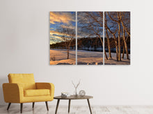 Laden Sie das Bild in den Galerie-Viewer, Leinwandbild 3-teilig Birken im Winter
