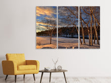 Laden Sie das Bild in den Galerie-Viewer, Leinwandbild 3-teilig Birken im Winter