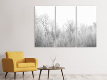 Laden Sie das Bild in den Galerie-Viewer, Leinwandbild 3-teilig Birken im Schnee