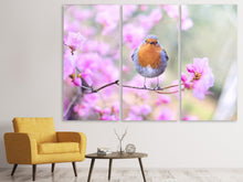 Laden Sie das Bild in den Galerie-Viewer, Leinwandbild 3-teilig Frühlings Vogel