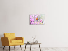 Laden Sie das Bild in den Galerie-Viewer, Leinwandbild 3-teilig Frühlings Vogel