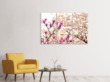 Laden Sie das Bild in den Galerie-Viewer, Leinwandbild 3-teilig Schöne Magnolien XL