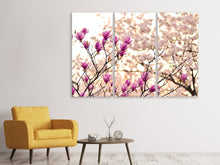 Laden Sie das Bild in den Galerie-Viewer, Leinwandbild 3-teilig Schöne Magnolien XL