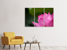 Laden Sie das Bild in den Galerie-Viewer, Leinwandbild 3-teilig Marko Lotus in pink
