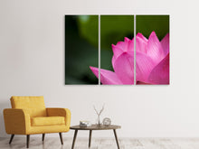 Laden Sie das Bild in den Galerie-Viewer, Leinwandbild 3-teilig Marko Lotus in pink