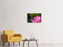Laden Sie das Bild in den Galerie-Viewer, Leinwandbild 3-teilig Marko Lotus in pink