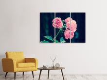 Laden Sie das Bild in den Galerie-Viewer, Leinwandbild 3-teilig Schöne Rosa Rosen