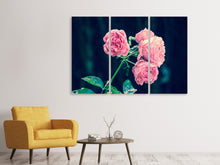 Laden Sie das Bild in den Galerie-Viewer, Leinwandbild 3-teilig Schöne Rosa Rosen