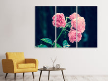 Laden Sie das Bild in den Galerie-Viewer, Leinwandbild 3-teilig Schöne Rosa Rosen
