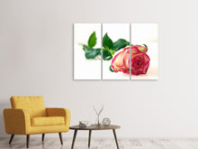 Laden Sie das Bild in den Galerie-Viewer, Leinwandbild 3-teilig Die stolze Rose