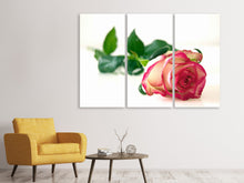Laden Sie das Bild in den Galerie-Viewer, Leinwandbild 3-teilig Die stolze Rose
