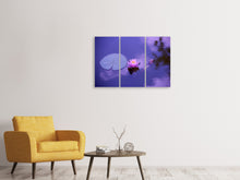 Laden Sie das Bild in den Galerie-Viewer, Leinwandbild 3-teilig Lotus Blüte