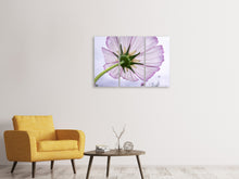 Laden Sie das Bild in den Galerie-Viewer, Leinwandbild 3-teilig Die Kosmos Blume