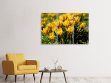 Laden Sie das Bild in den Galerie-Viewer, Leinwandbild 3-teilig Krokusse im Frühling