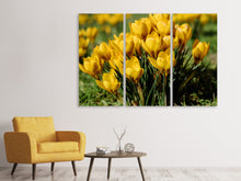 Laden Sie das Bild in den Galerie-Viewer, Leinwandbild 3-teilig Krokusse im Frühling