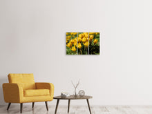Laden Sie das Bild in den Galerie-Viewer, Leinwandbild 3-teilig Krokusse im Frühling