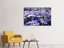 Laden Sie das Bild in den Galerie-Viewer, Leinwandbild 3-teilig Ein Feld voll Krokusse