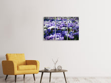 Laden Sie das Bild in den Galerie-Viewer, Leinwandbild 3-teilig Ein Feld voll Krokusse