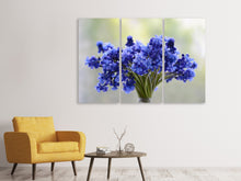 Laden Sie das Bild in den Galerie-Viewer, Leinwandbild 3-teilig Ein Strauss Blumen