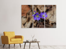 Laden Sie das Bild in den Galerie-Viewer, Leinwandbild 3-teilig Wildblumen