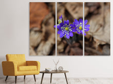 Laden Sie das Bild in den Galerie-Viewer, Leinwandbild 3-teilig Wildblumen