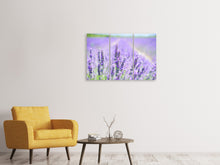 Laden Sie das Bild in den Galerie-Viewer, Leinwandbild 3-teilig Die Lavendelblüte