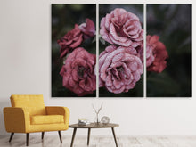 Laden Sie das Bild in den Galerie-Viewer, Leinwandbild 3-teilig Romantische Rosen