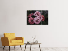 Laden Sie das Bild in den Galerie-Viewer, Leinwandbild 3-teilig Romantische Rosen