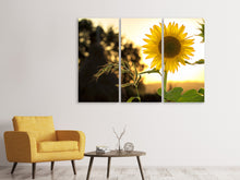 Laden Sie das Bild in den Galerie-Viewer, Leinwandbild 3-teilig Sonnenblume im Sonnenaufgang