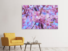 Laden Sie das Bild in den Galerie-Viewer, Leinwandbild 3-teilig Prächtige Kirschblüte
