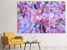 Laden Sie das Bild in den Galerie-Viewer, Leinwandbild 3-teilig Prächtige Kirschblüte