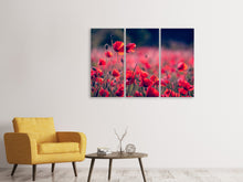 Laden Sie das Bild in den Galerie-Viewer, Leinwandbild 3-teilig Im Mohn Feld