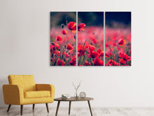 Laden Sie das Bild in den Galerie-Viewer, Leinwandbild 3-teilig Im Mohn Feld