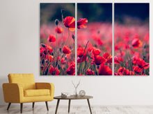 Laden Sie das Bild in den Galerie-Viewer, Leinwandbild 3-teilig Im Mohn Feld