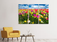 Laden Sie das Bild in den Galerie-Viewer, Leinwandbild 3-teilig Das Frühlingserwachen