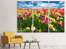 Laden Sie das Bild in den Galerie-Viewer, Leinwandbild 3-teilig Das Frühlingserwachen