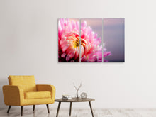 Laden Sie das Bild in den Galerie-Viewer, Leinwandbild 3-teilig Makro Chrysantheme