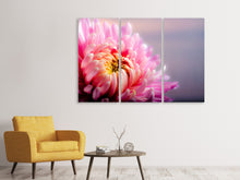 Laden Sie das Bild in den Galerie-Viewer, Leinwandbild 3-teilig Makro Chrysantheme
