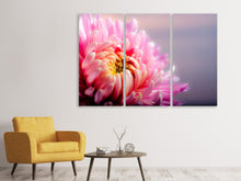 Laden Sie das Bild in den Galerie-Viewer, Leinwandbild 3-teilig Makro Chrysantheme
