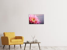 Laden Sie das Bild in den Galerie-Viewer, Leinwandbild 3-teilig Makro Chrysantheme