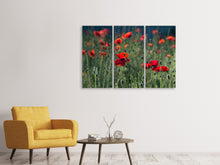 Laden Sie das Bild in den Galerie-Viewer, Leinwandbild 3-teilig Wilder Mohn