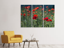 Laden Sie das Bild in den Galerie-Viewer, Leinwandbild 3-teilig Wilder Mohn