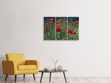 Laden Sie das Bild in den Galerie-Viewer, Leinwandbild 3-teilig Wilder Mohn