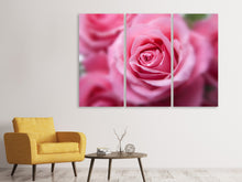 Laden Sie das Bild in den Galerie-Viewer, Leinwandbild 3-teilig Rosen Makro