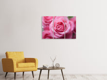 Laden Sie das Bild in den Galerie-Viewer, Leinwandbild 3-teilig Rosen Makro