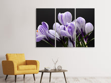 Laden Sie das Bild in den Galerie-Viewer, Leinwandbild 3-teilig Der Krokus