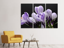 Laden Sie das Bild in den Galerie-Viewer, Leinwandbild 3-teilig Der Krokus