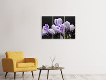 Laden Sie das Bild in den Galerie-Viewer, Leinwandbild 3-teilig Der Krokus