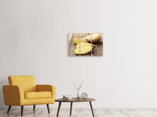 Laden Sie das Bild in den Galerie-Viewer, Leinwandbild 3-teilig Frischer Ingwer