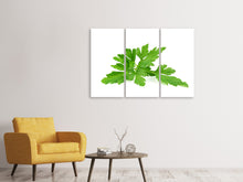 Laden Sie das Bild in den Galerie-Viewer, Leinwandbild 3-teilig Blätter von der Petersilie